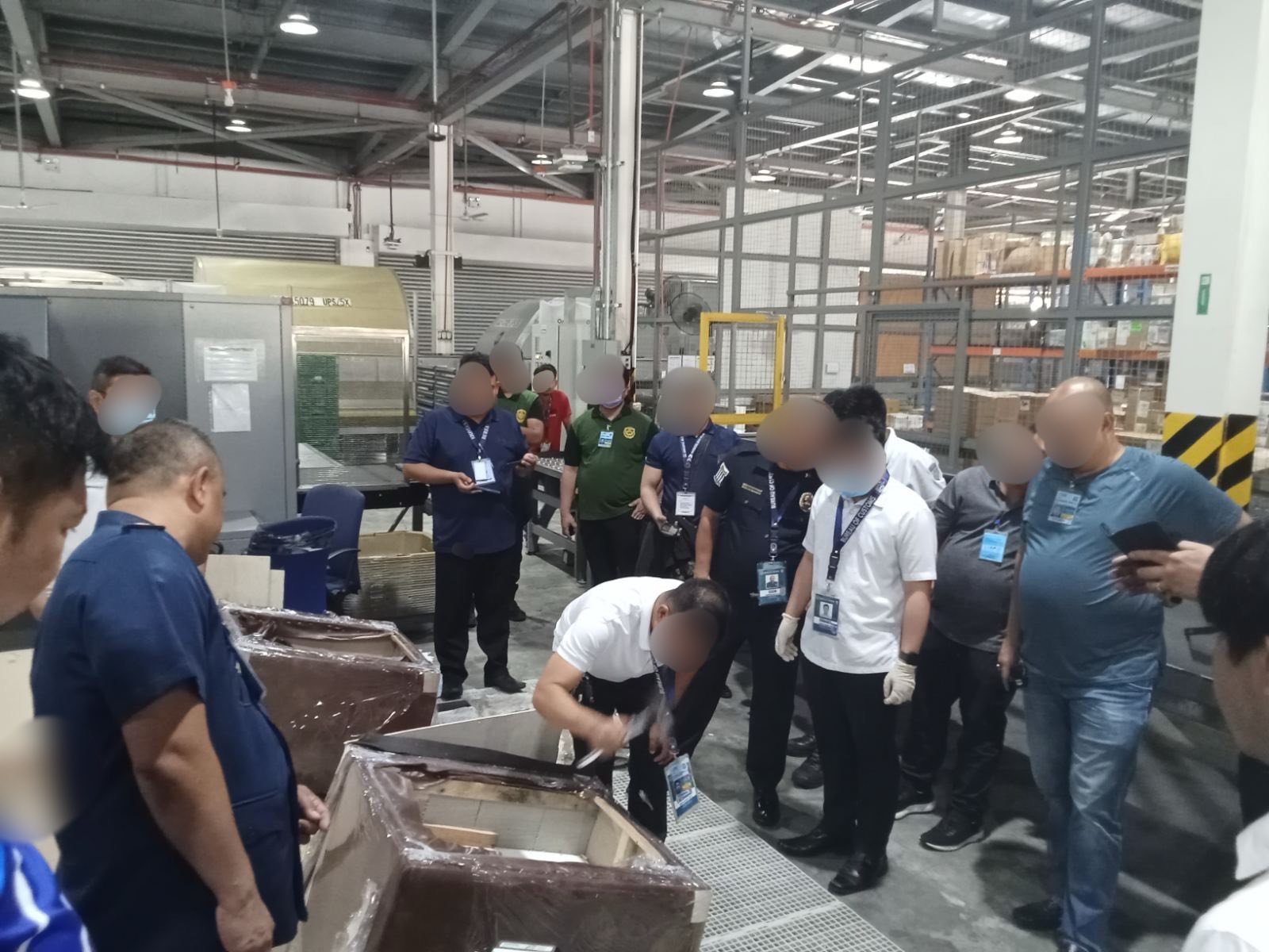 P16M worth of Kush seized in Clark